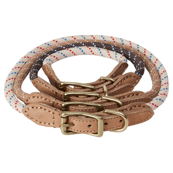 Perry Dog Collar - Small