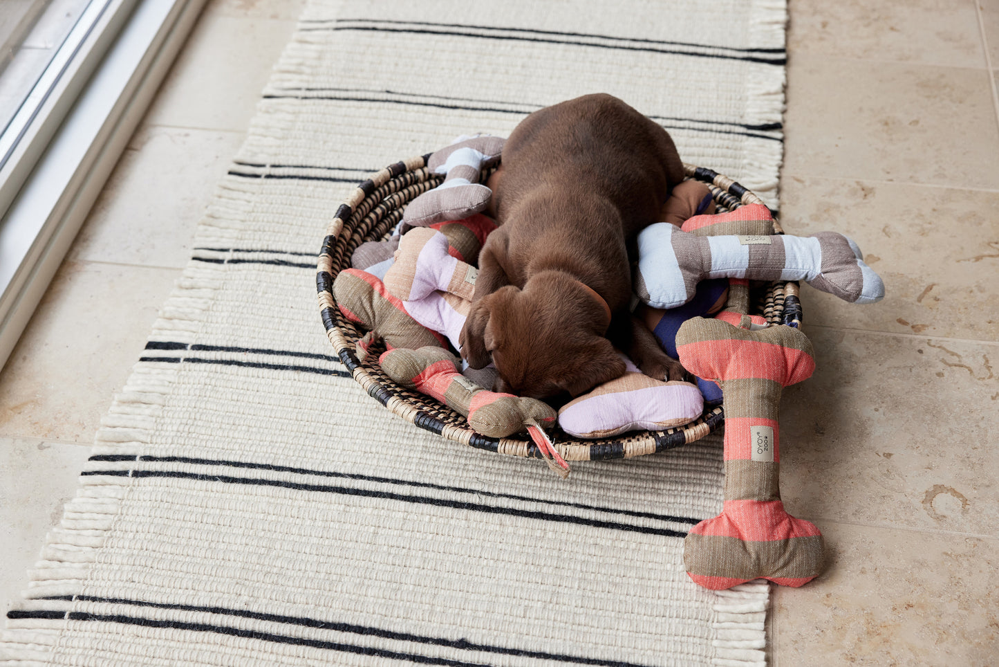 Ashi Dog Toy - Large