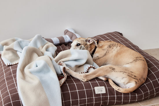 Kaya Pet Blanket - Large
