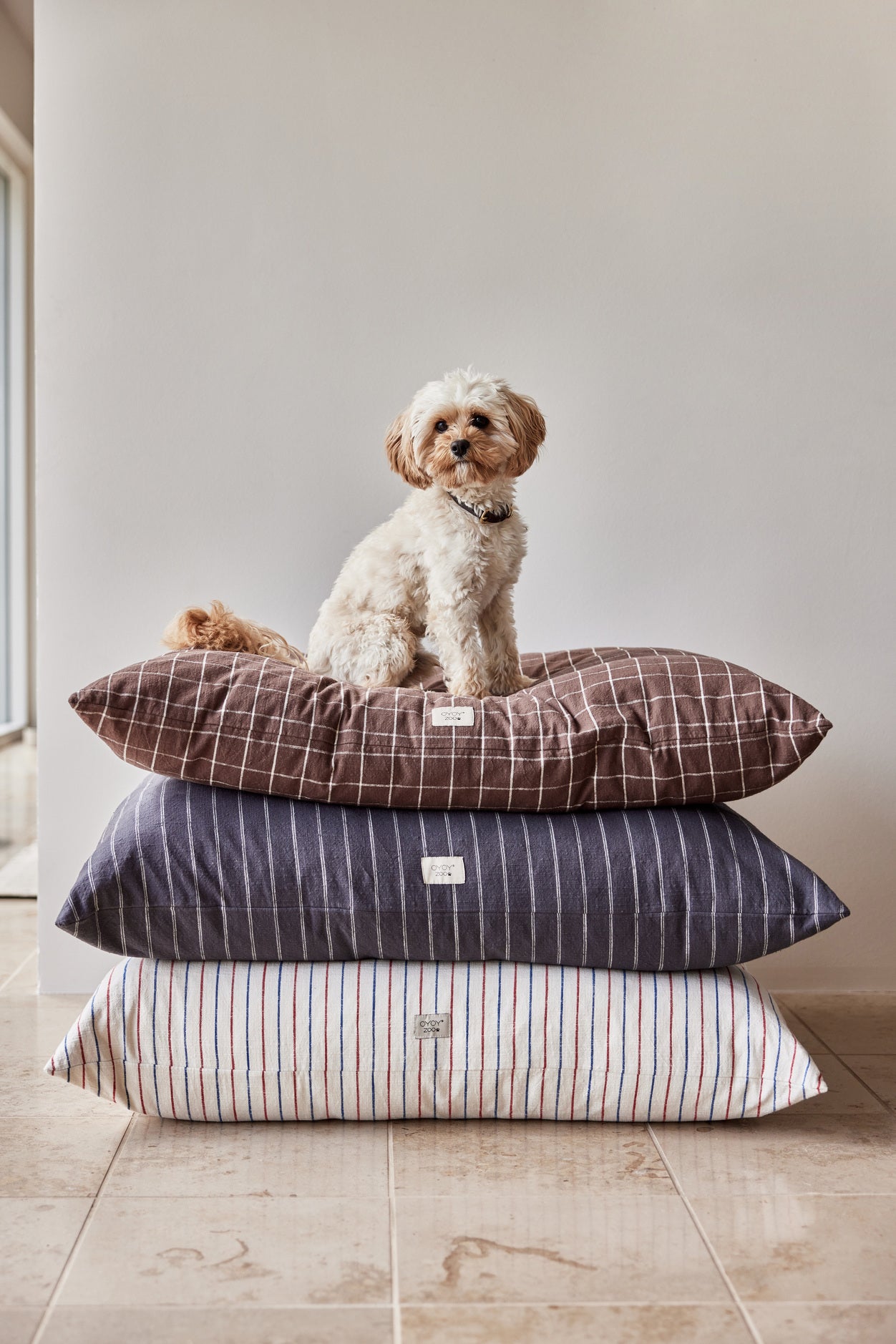 Kyoto Dog Cushion - Medium