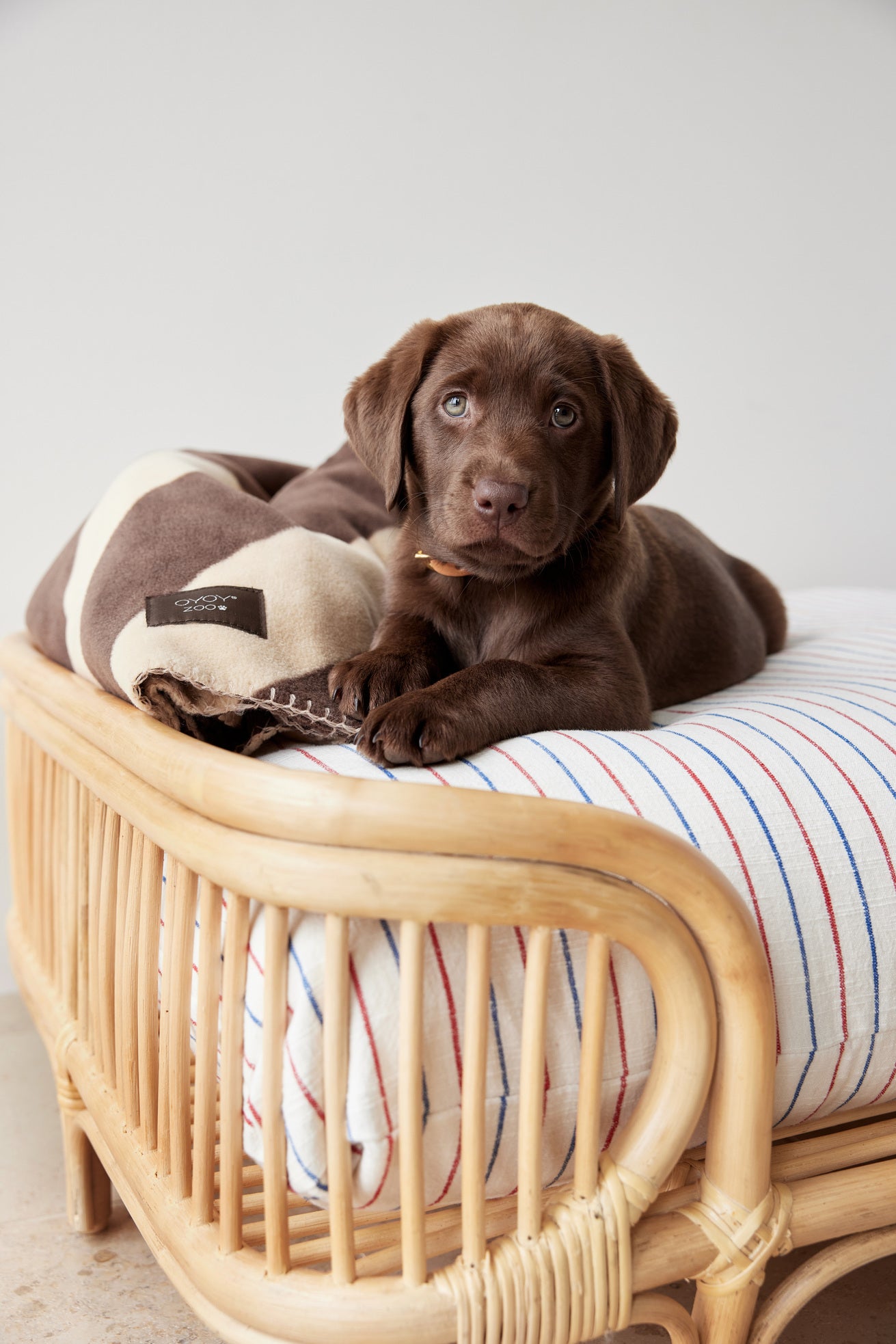 Load image into Gallery viewer, Otto Dog Bed - Large
