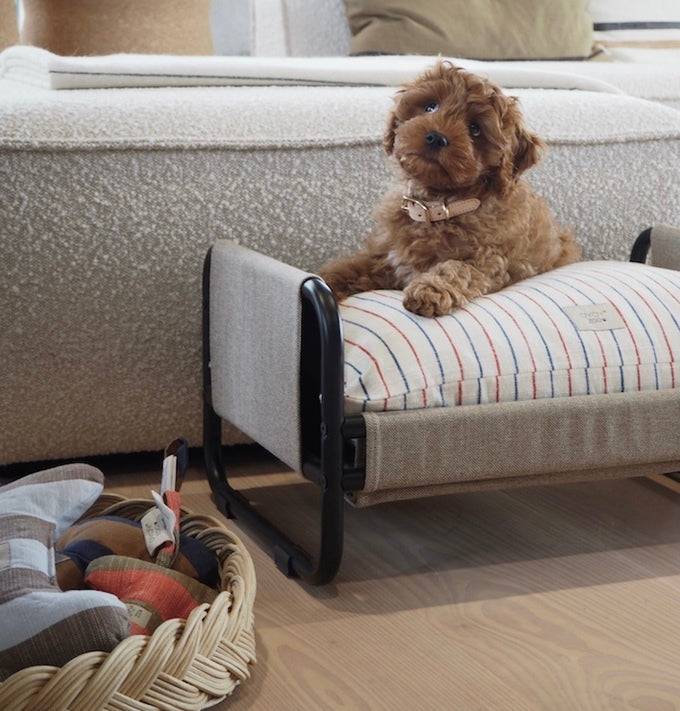 Load image into Gallery viewer, Milo Dog Bed - Medium
