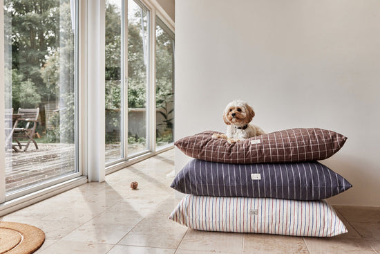 Load image into Gallery viewer, OYOY ZOO Kyoto Dog Cushion - Large Sleep
