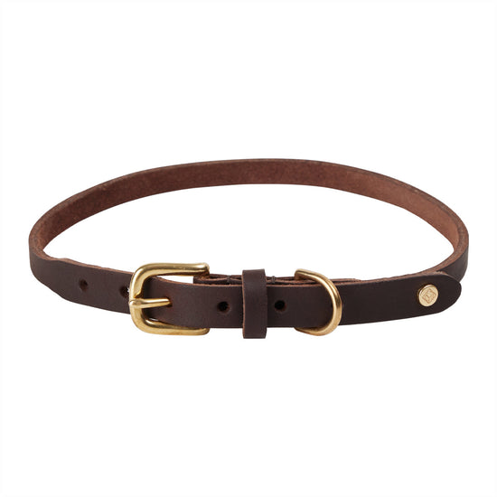 Load image into Gallery viewer, OYOY ZOO Robin Dog Collar - Extra Large Walk and Talk 309 Choko
