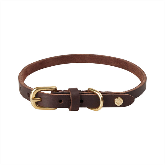 Load image into Gallery viewer, Robin Dog Collar - Large
